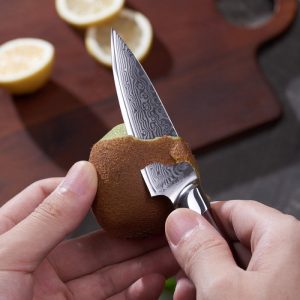 Utility Kitchen Knife Damascus Blade with Wood Handle